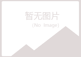 含山县灵雁银行有限公司